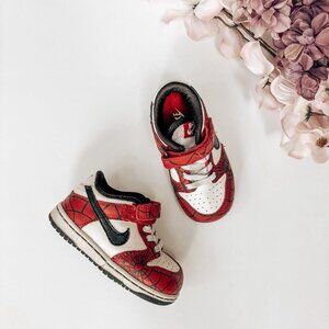 Nike Vintage 2004 Low Dunk Spiderman